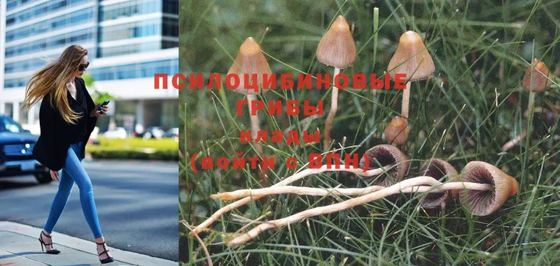 наркота  Златоуст  ссылка на мегу онион  Псилоцибиновые грибы Magic Shrooms 